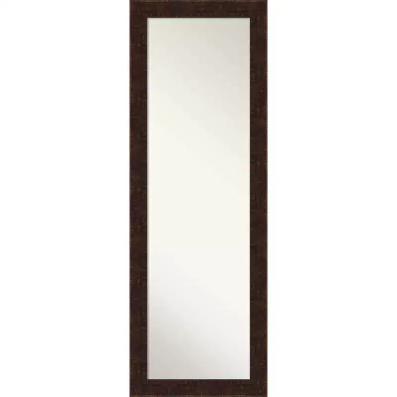 18" x 52" William Narrow Framed Full Length on the Door Mirror Bronze - Amanti Art: Polystyrene Frame, No Assembly Required